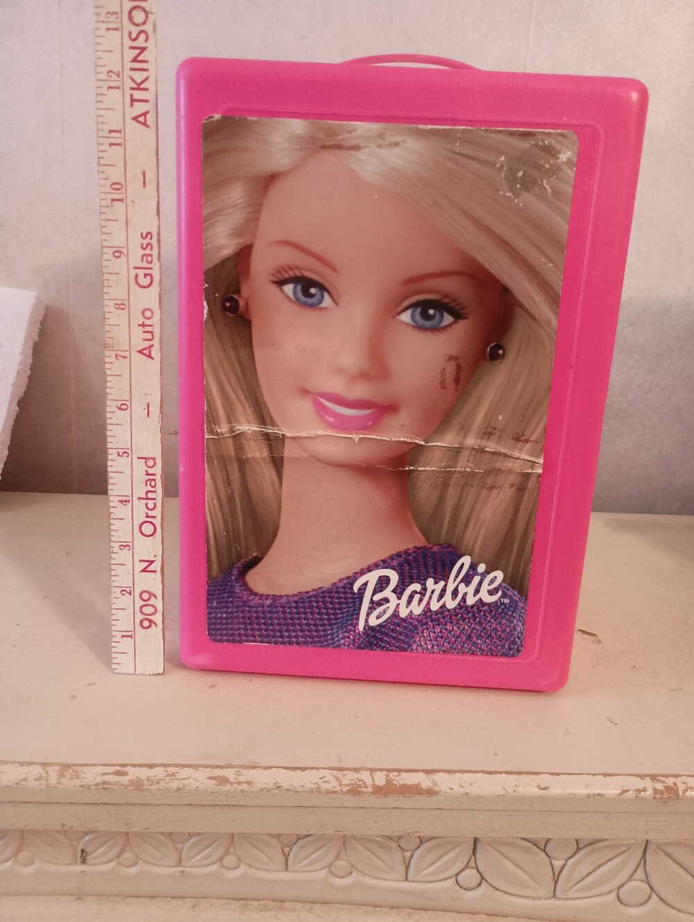 Barbie Carrying Case